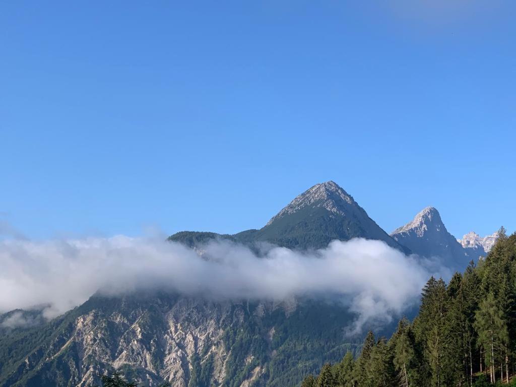 L' Antica Casa Di Maria Lilia Apartment Pieve di Cadore Exterior foto